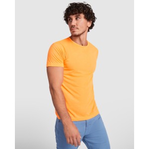 Camisetas akita hombre